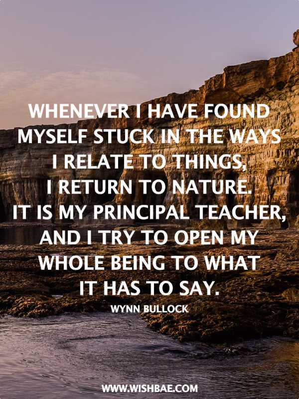 nature quotes images