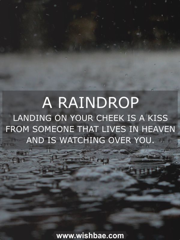 raindrop quotes