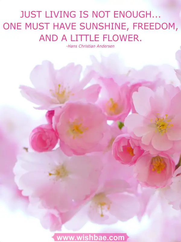 flower life quotes