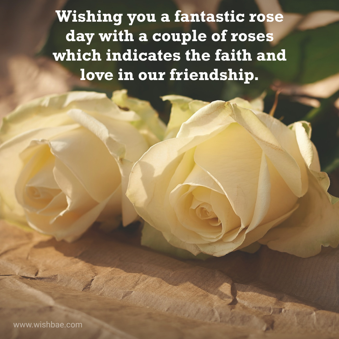 rose day greetings