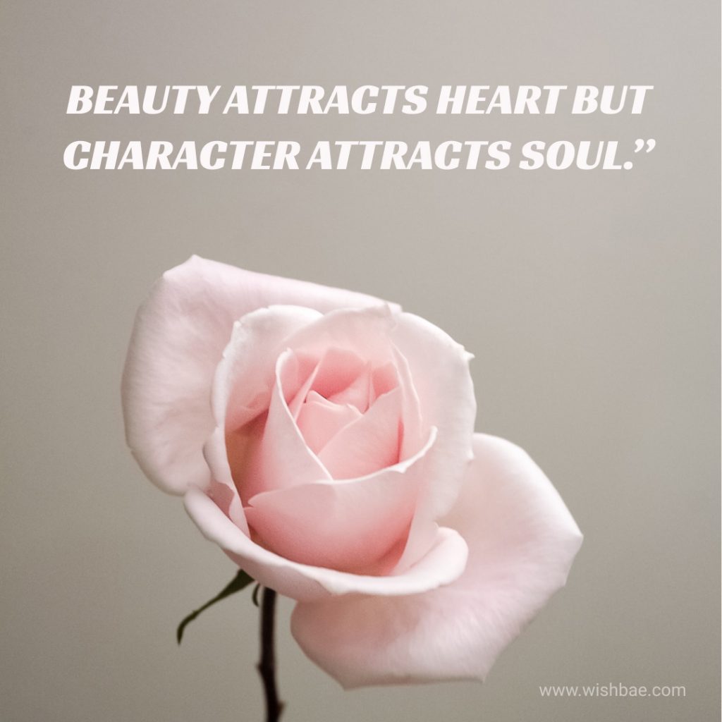 Beautiful soul Quotes
