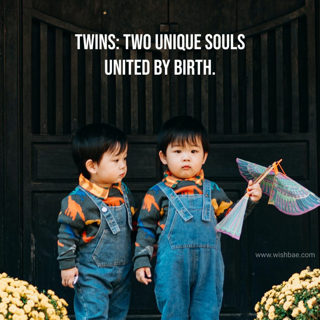 Beautiful twin quotes