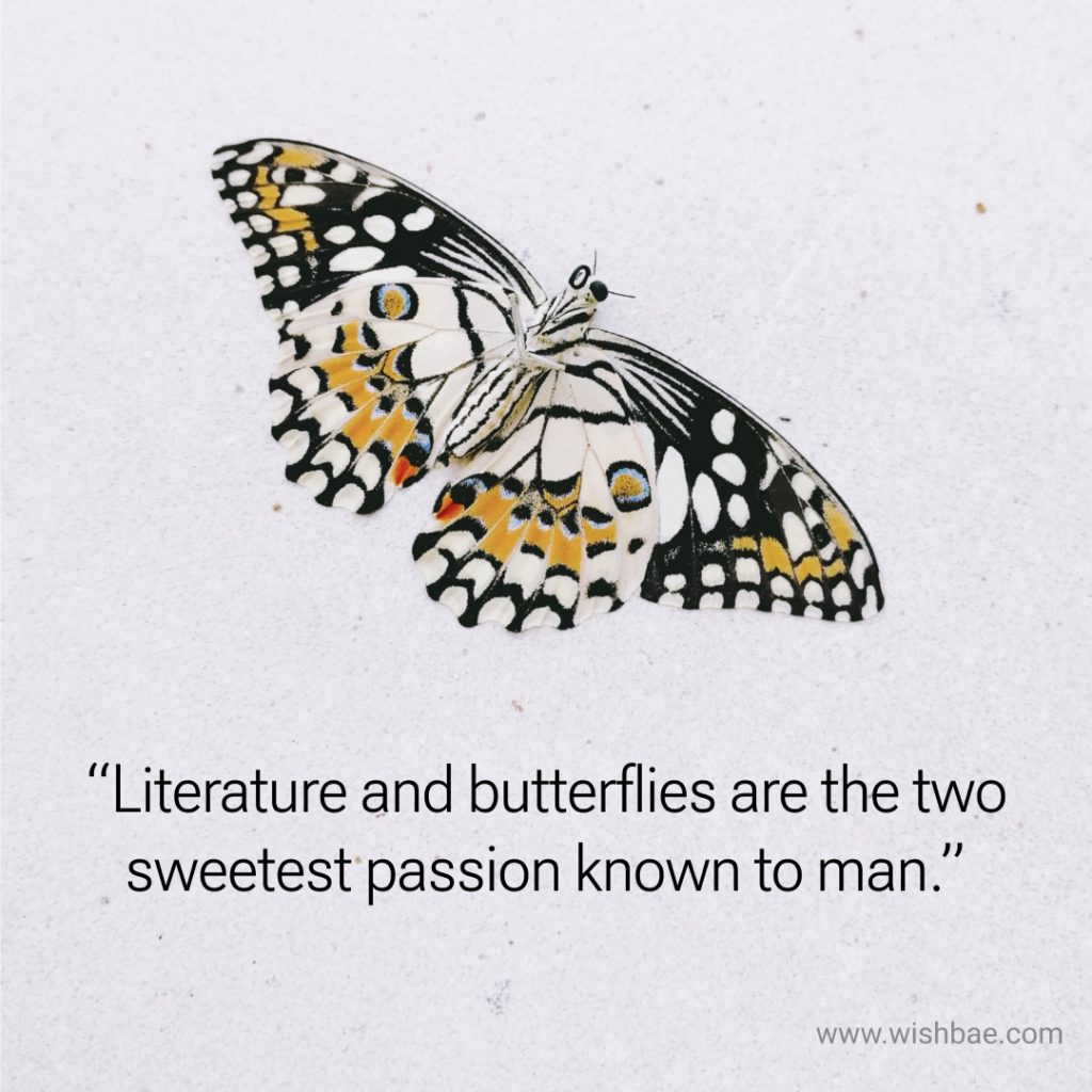 Butterfly quotes for Instagram