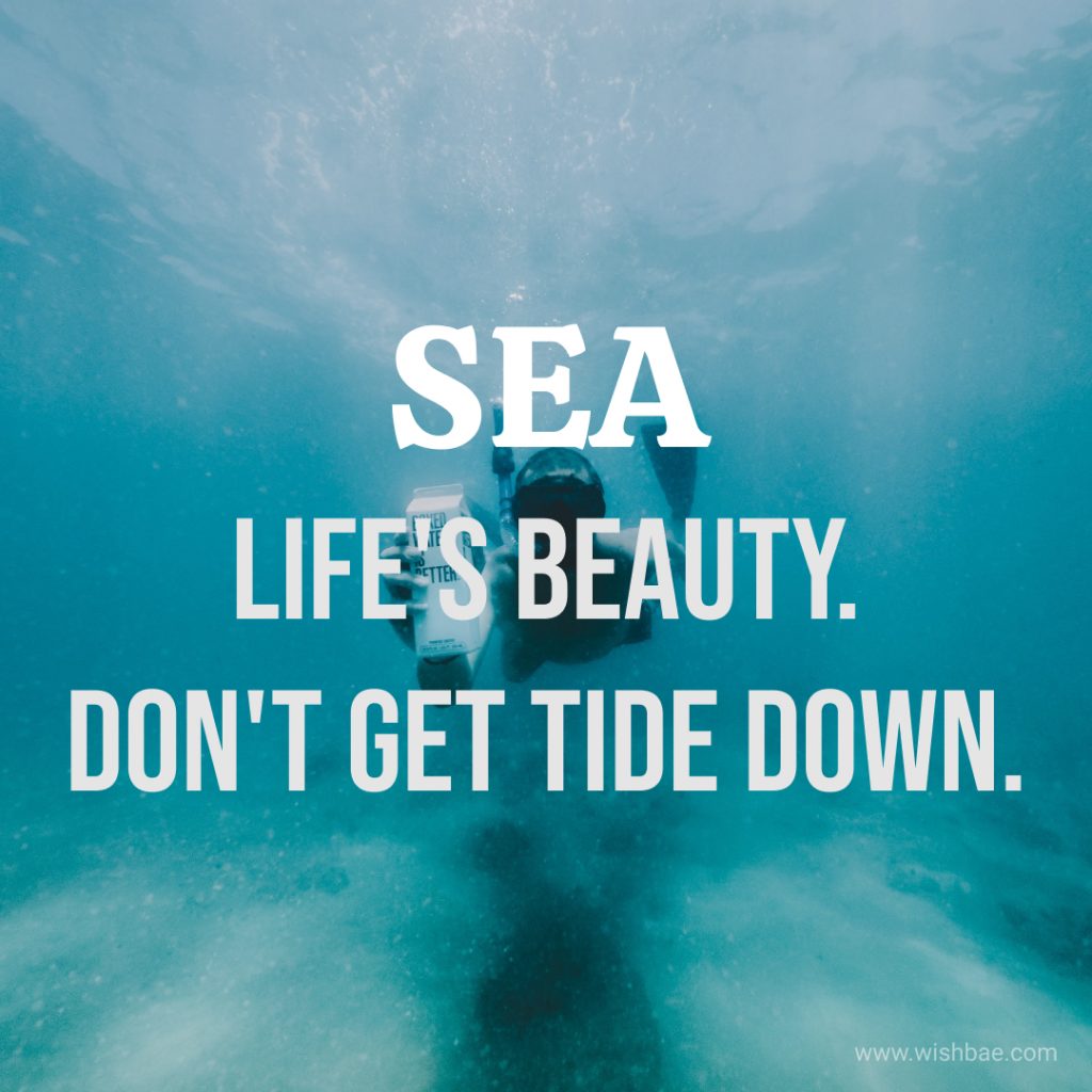 Short ocean quotes