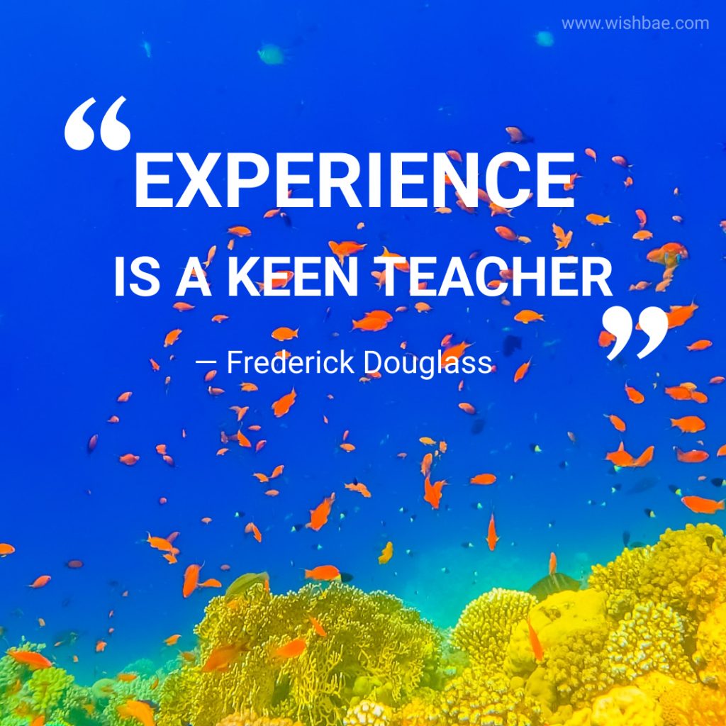 Frederick Douglass quotes on education