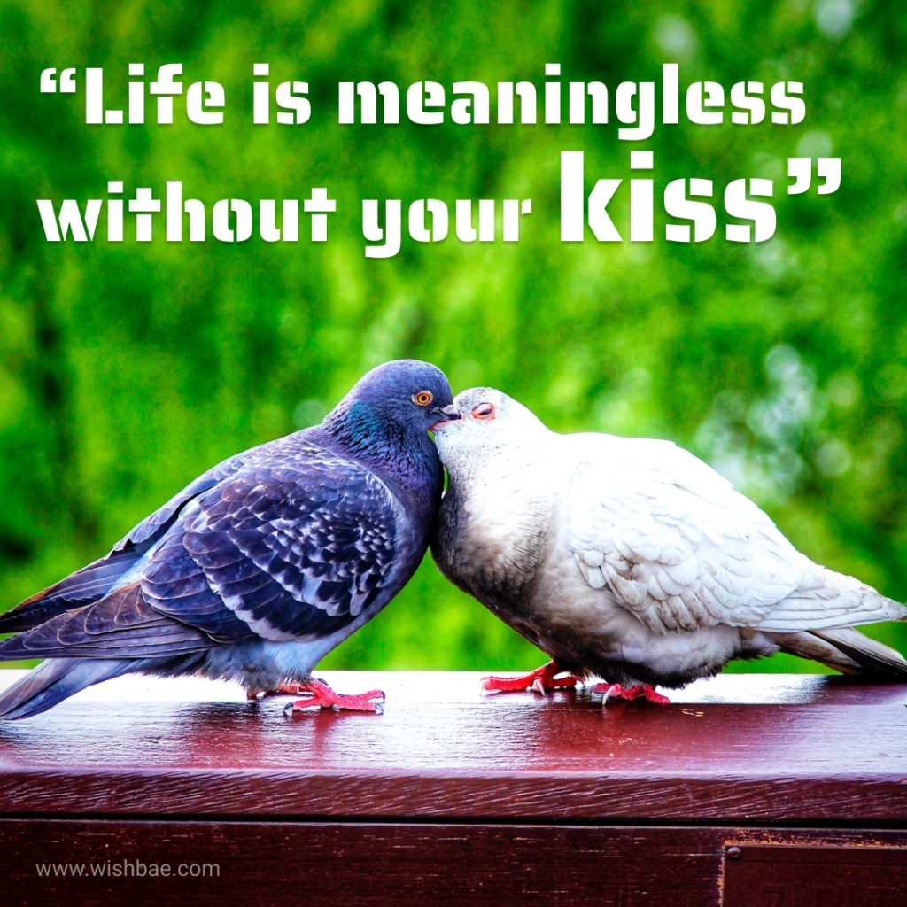 Life is meaningless without your kiss