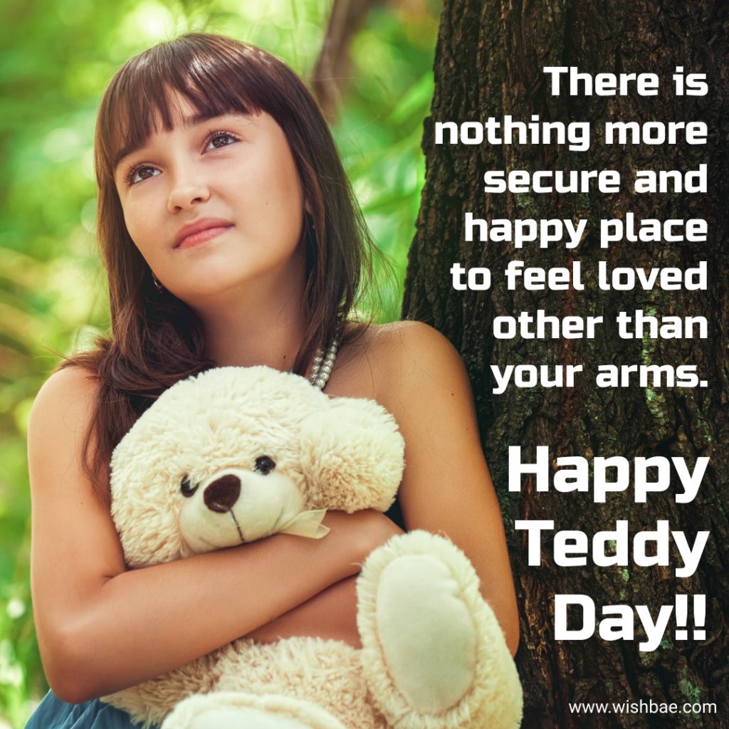 happy teddy day wish
