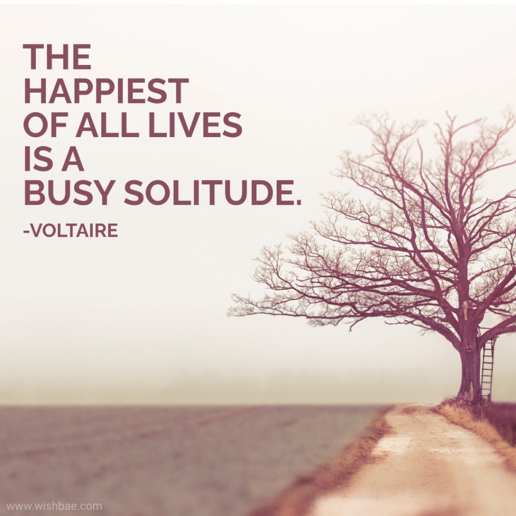 Solitude Quotes positive