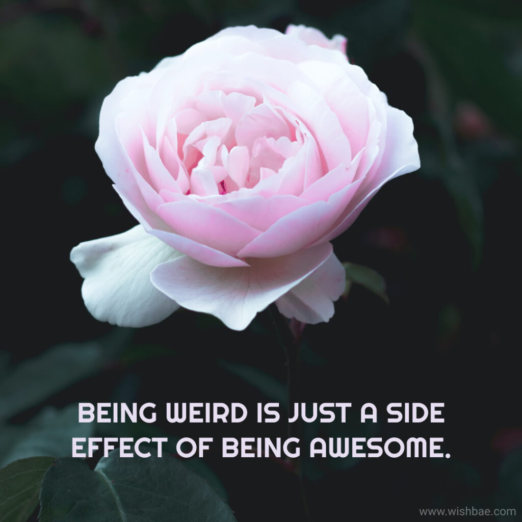 i love being weird quotes