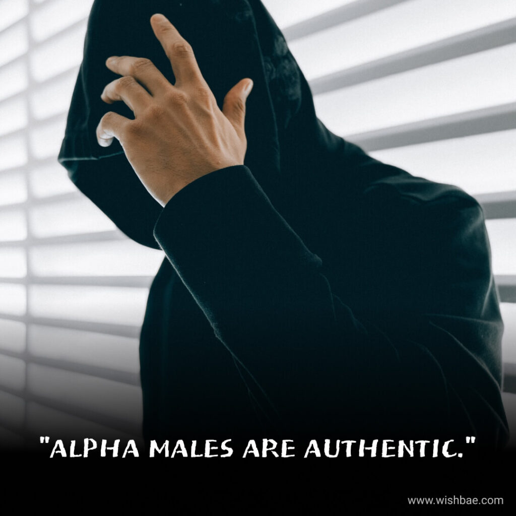 alpha male quotes instagram