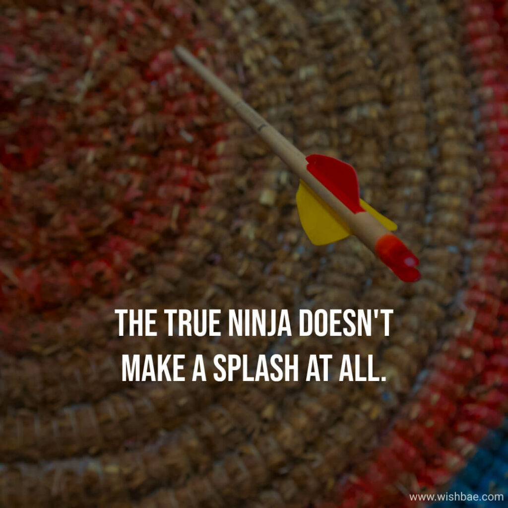 true ninja quotes