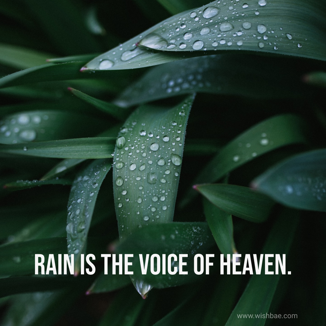 rain is the voice of heaven