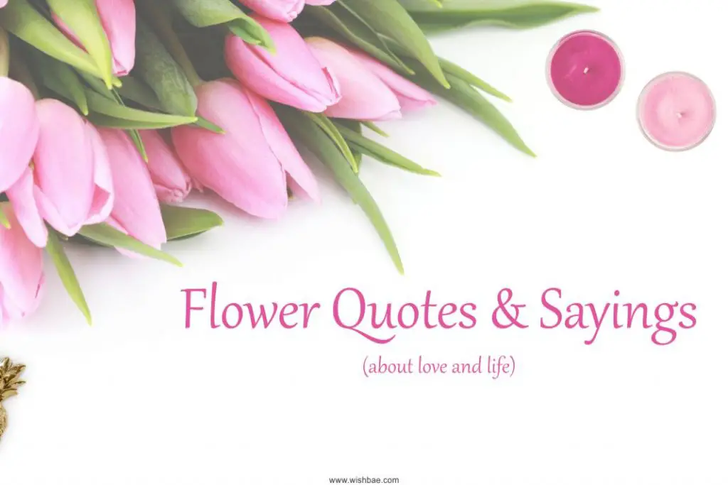 Flower Quotes about love and life