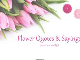 Flower Quotes about love and life