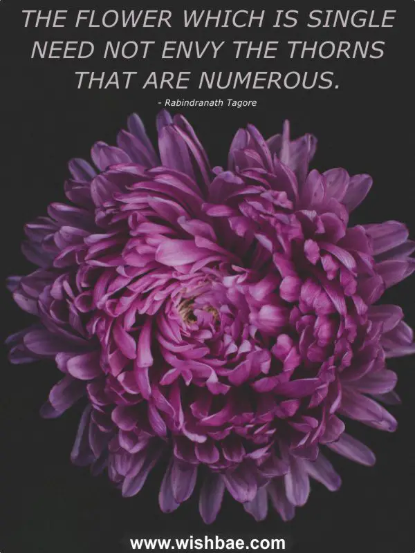 beautiful flower quotes