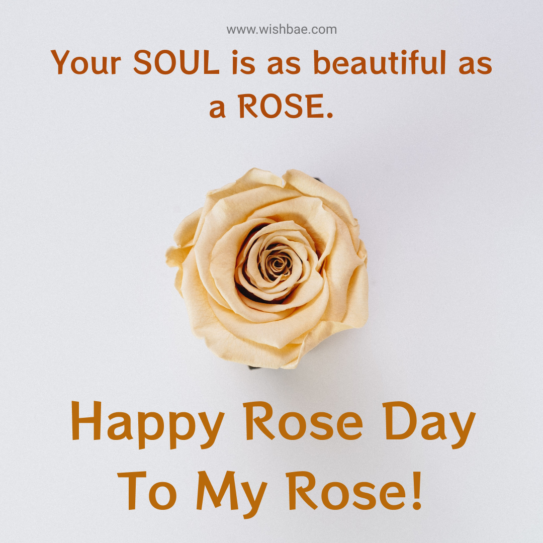 rose day images 2022