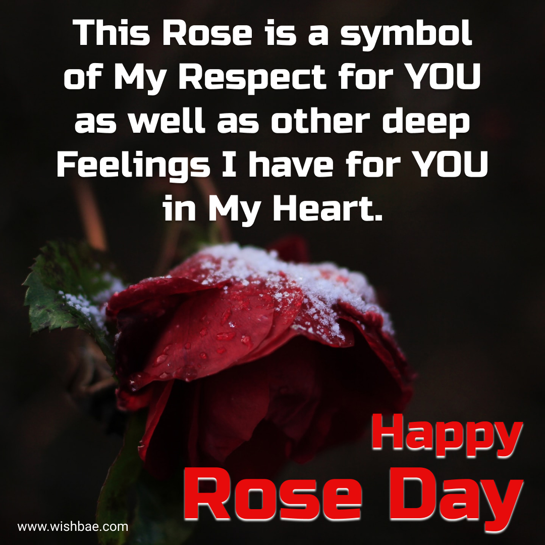 rose day love wishes