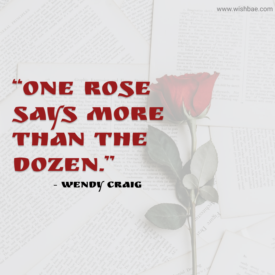 rose day quote