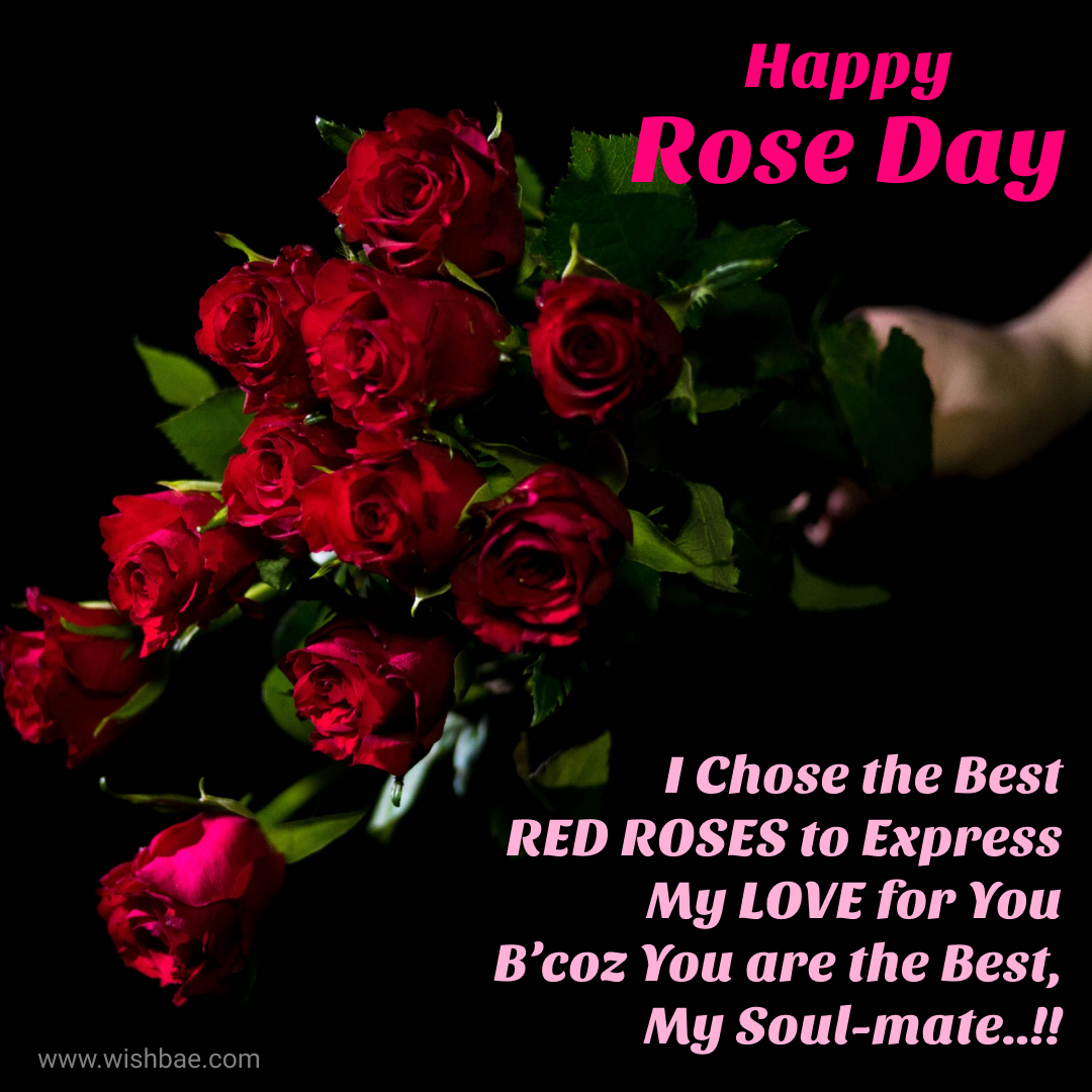 rose day wishes 2023