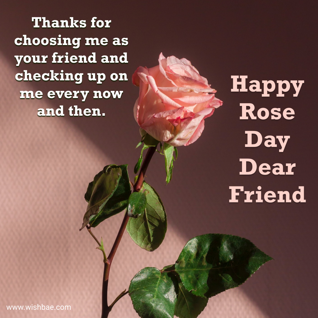 rose day wishes for friend