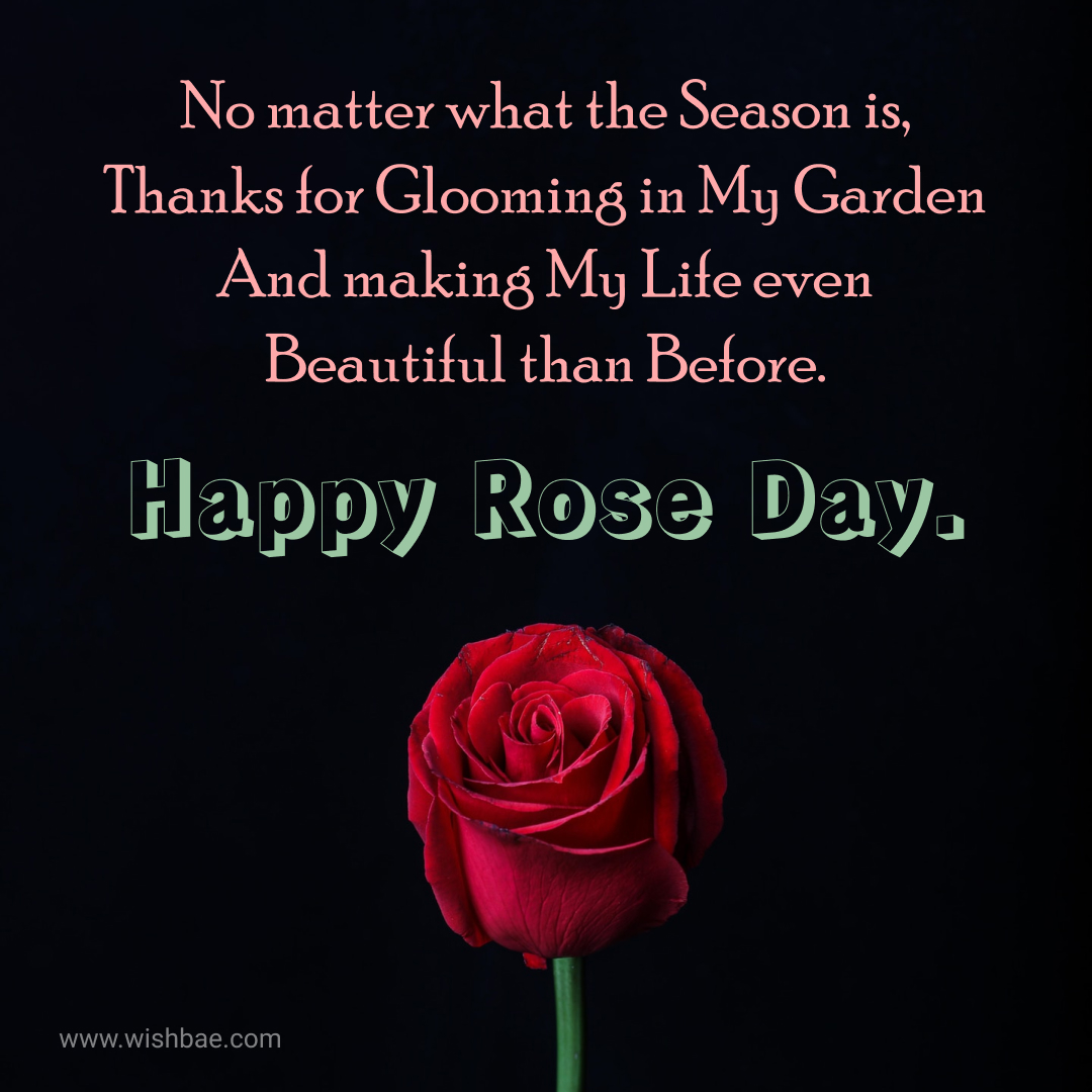 rose day wishes images 2023