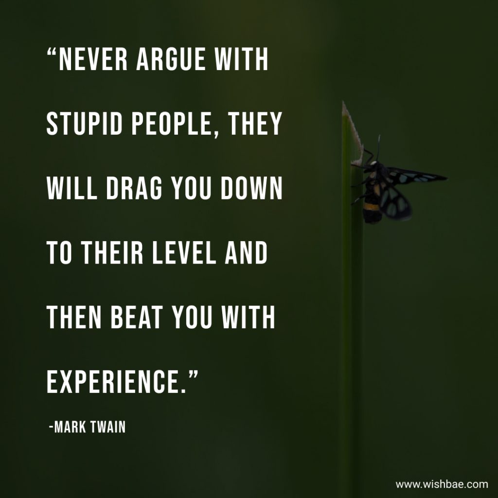 mark twain quotes about fools