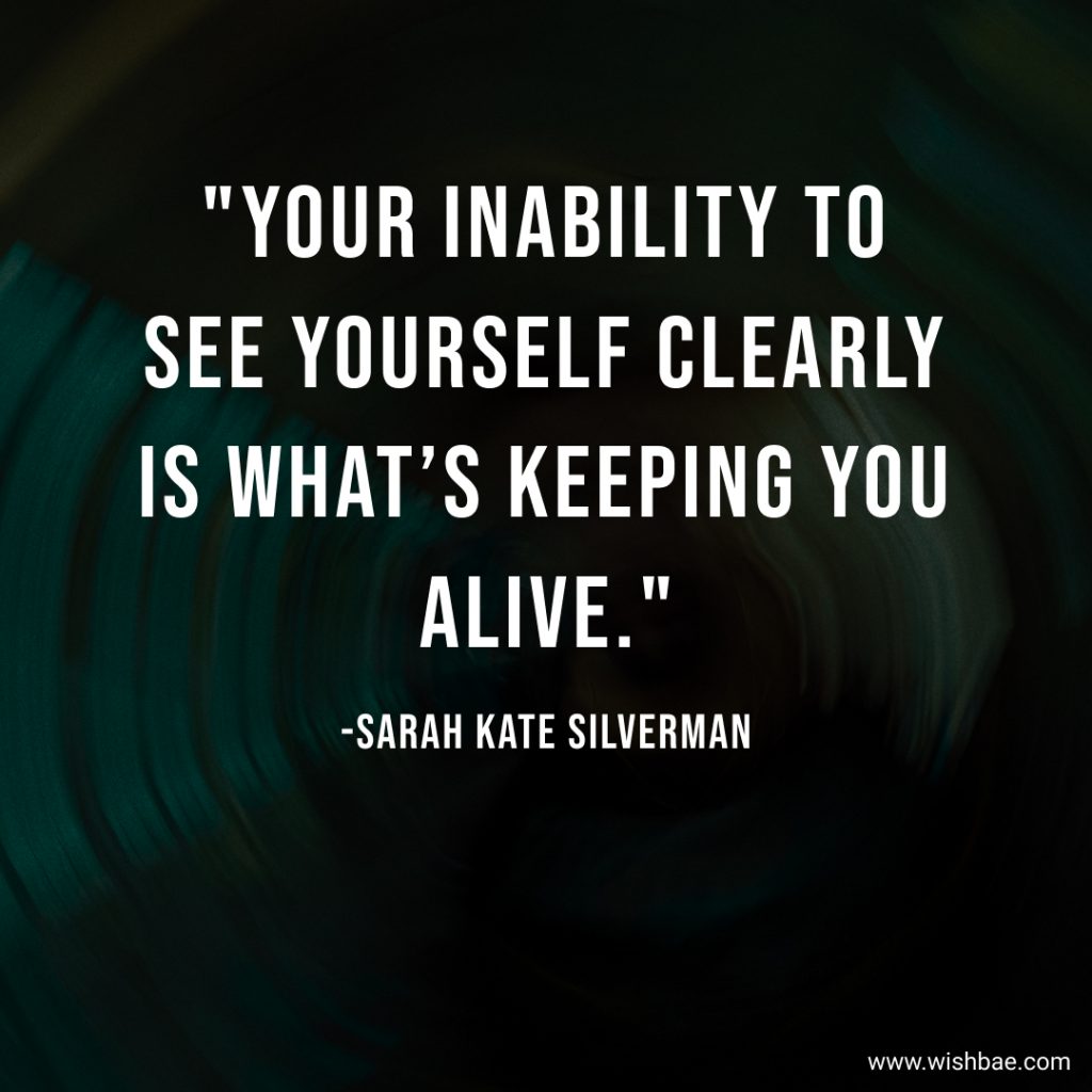 quotes by sarah silverman