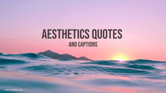 Aesthetics Quotes