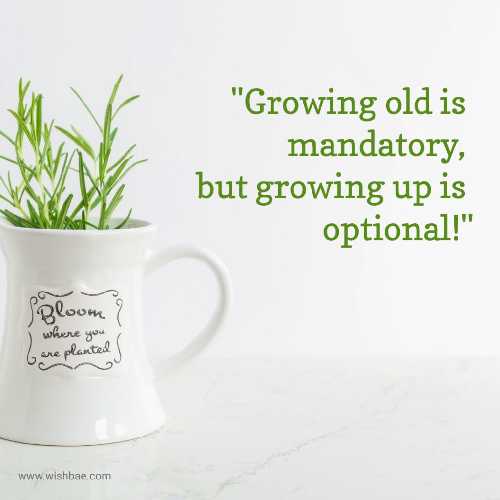 Age Quotes Funny