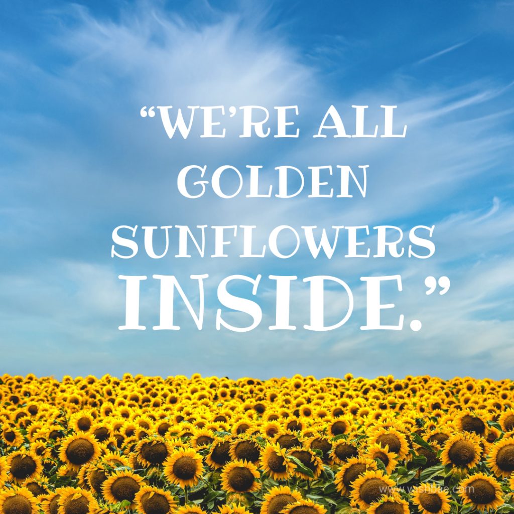 Cute sunflower quotes