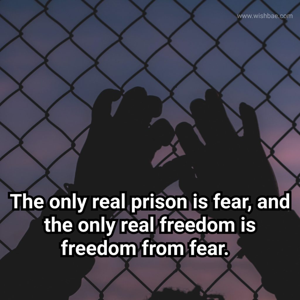 Freedom quotes about Life