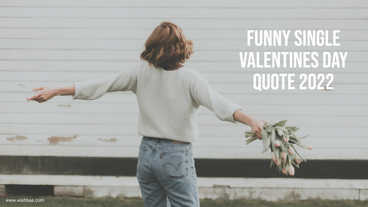 Funny Single Valentines Day Quote 2022 - WishBae