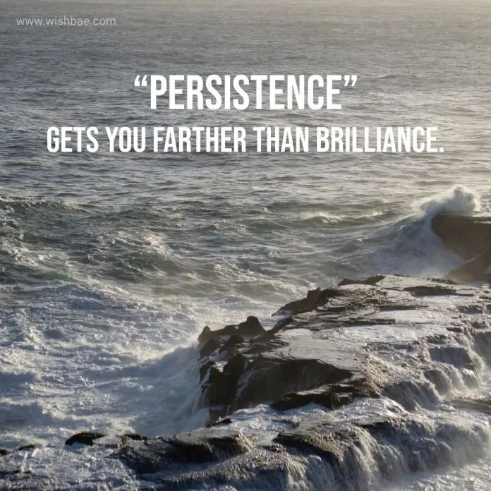 50+ Persistence Quotes to Keep You Determined and Motivated - WishBae.Com