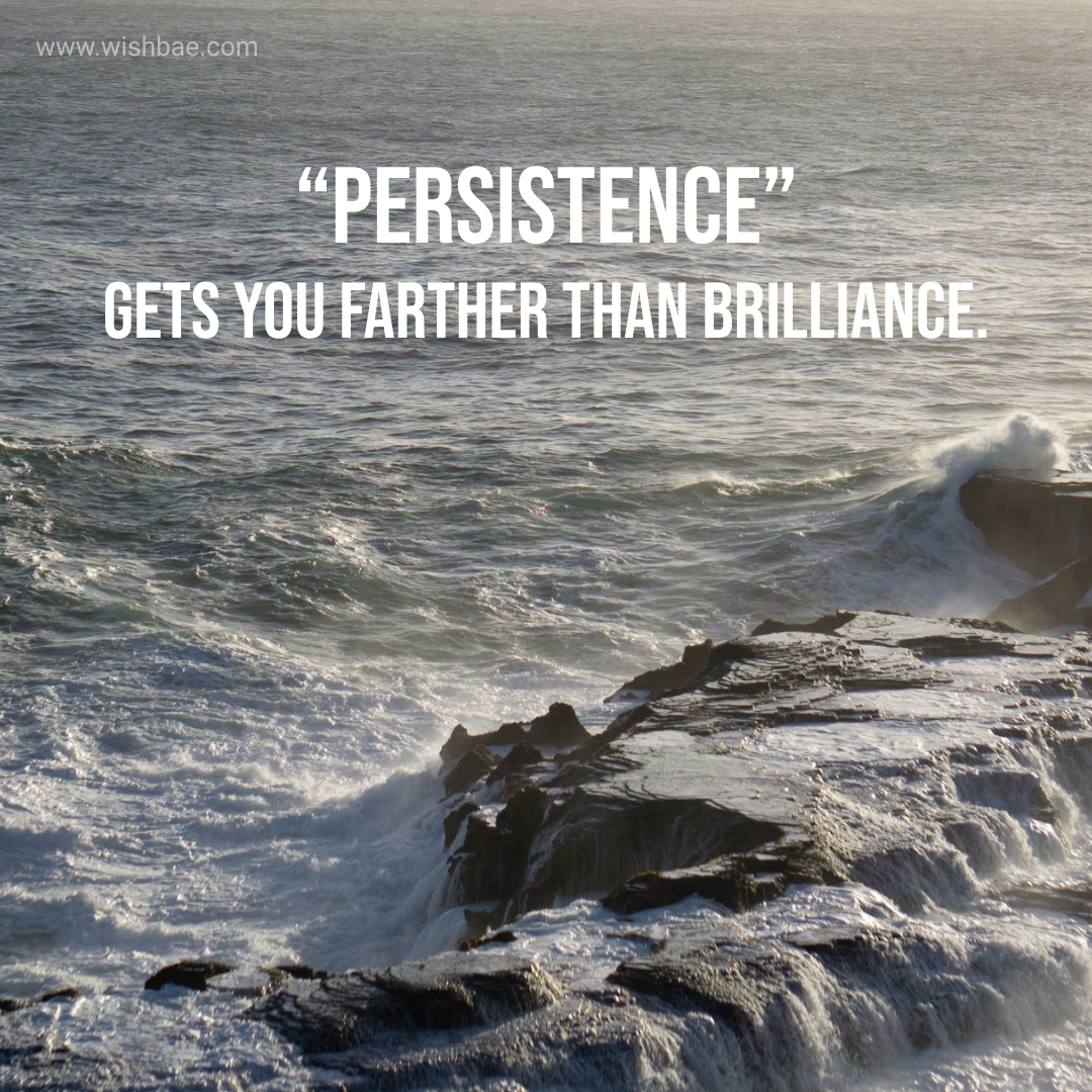 short essay on persistence