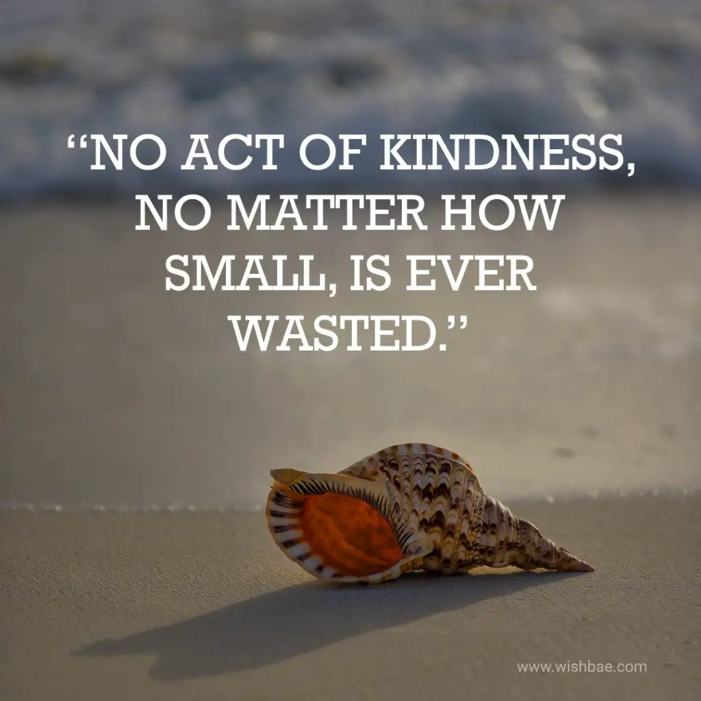 Power of kindness quotes
