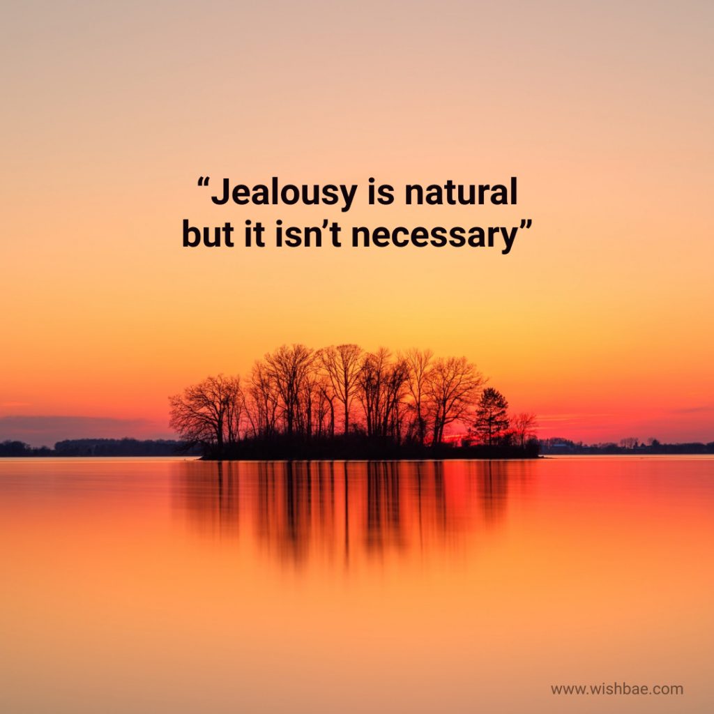 Quotes about jealous friends