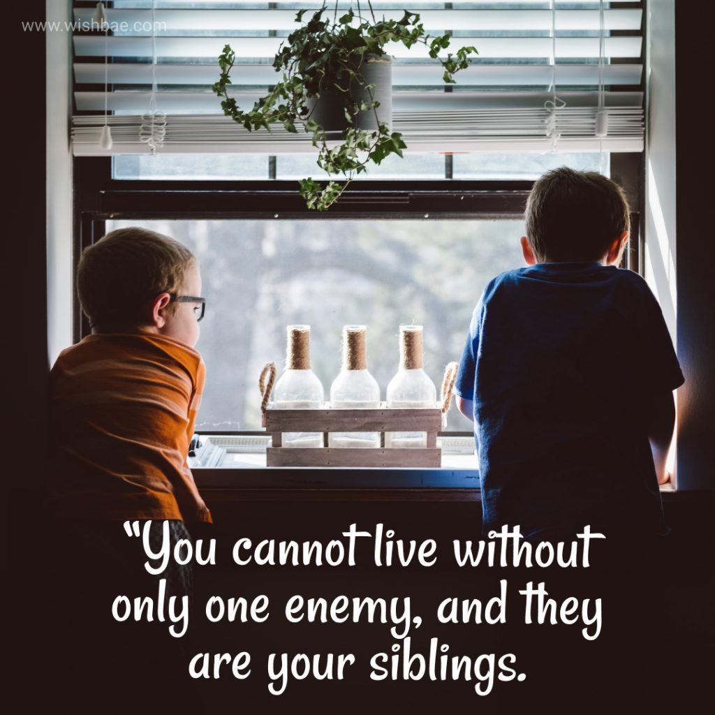 Siblings funny quotes
