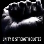 Unity is Strength quotes