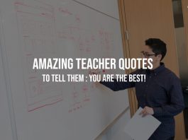 You are the Best Teacher Quotes