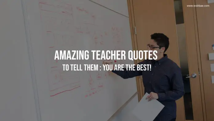 You are the Best Teacher Quotes