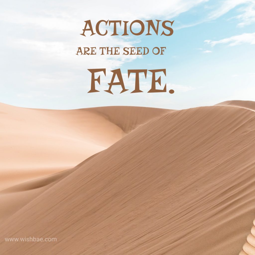 actions are the seed of fate