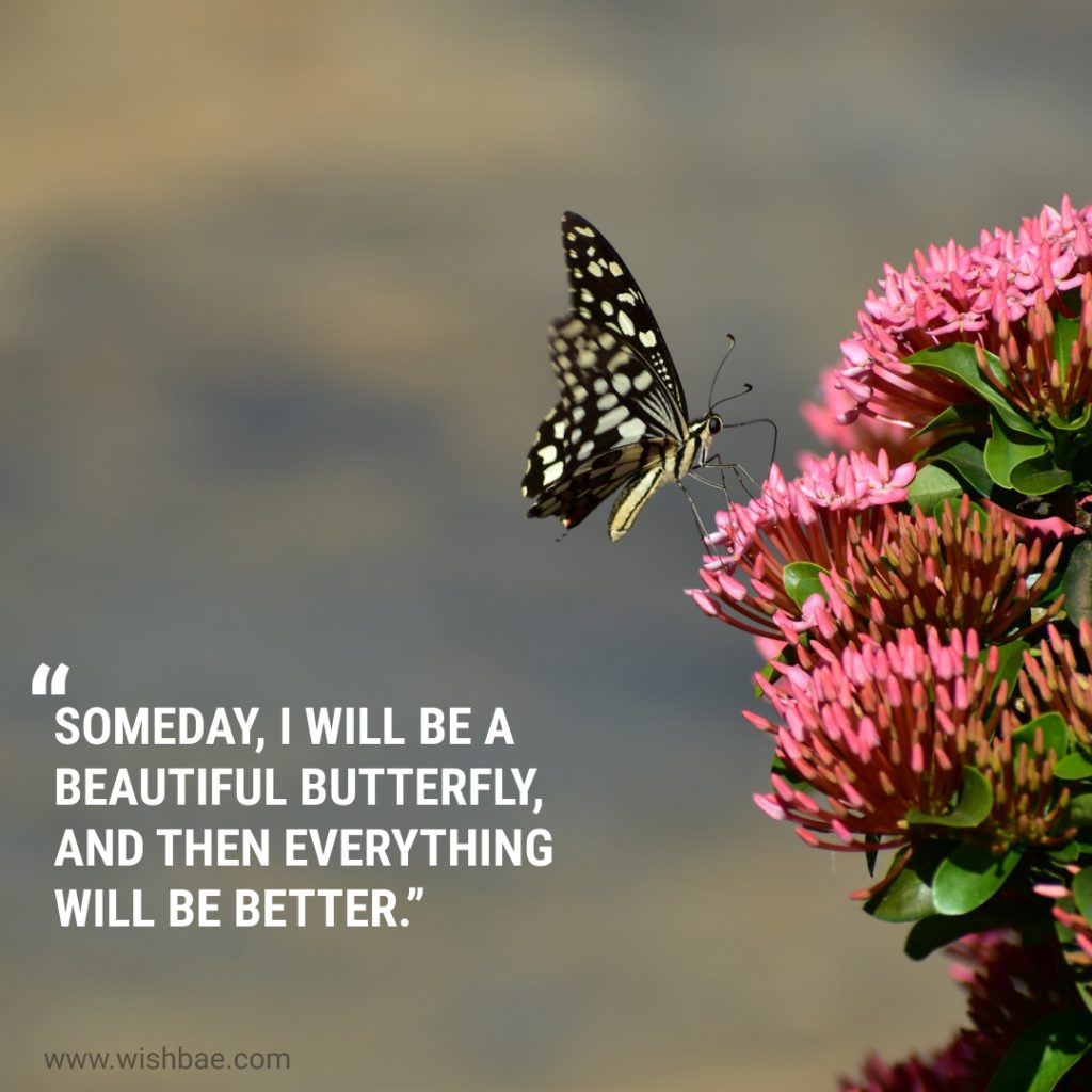 butterfly quotes on girl