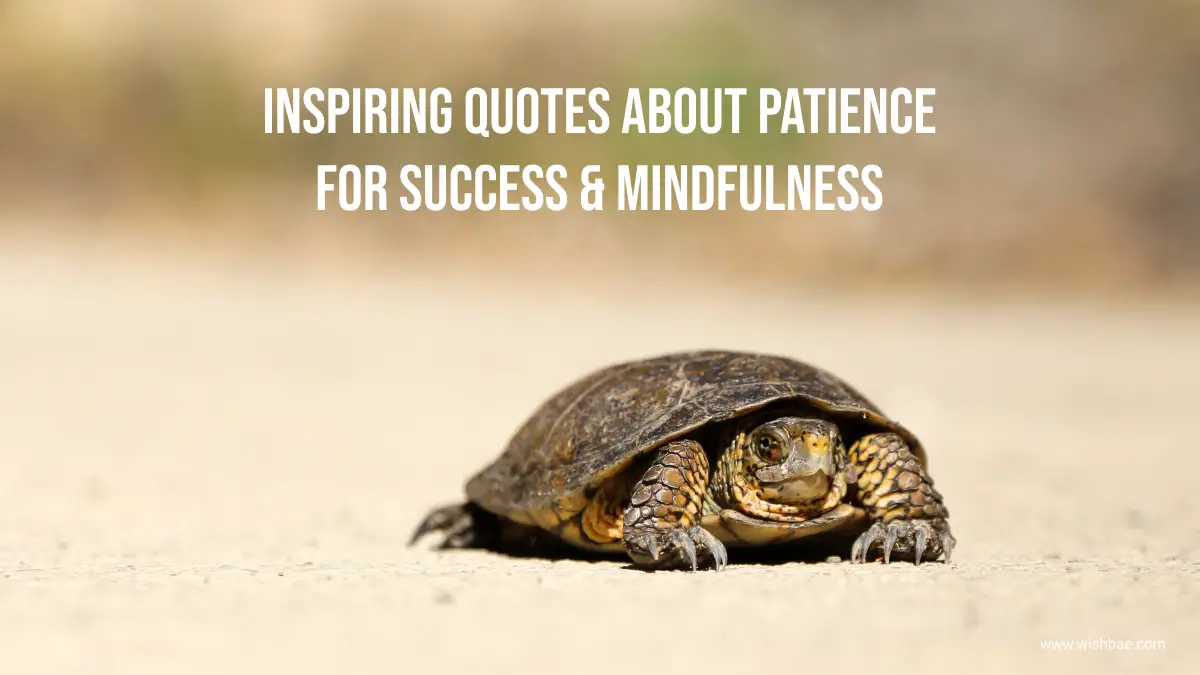 Inspiring Quotes about Patience for Success & Mindfulness - WishBae