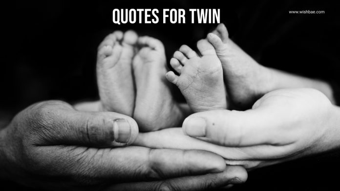 quotes for twin
