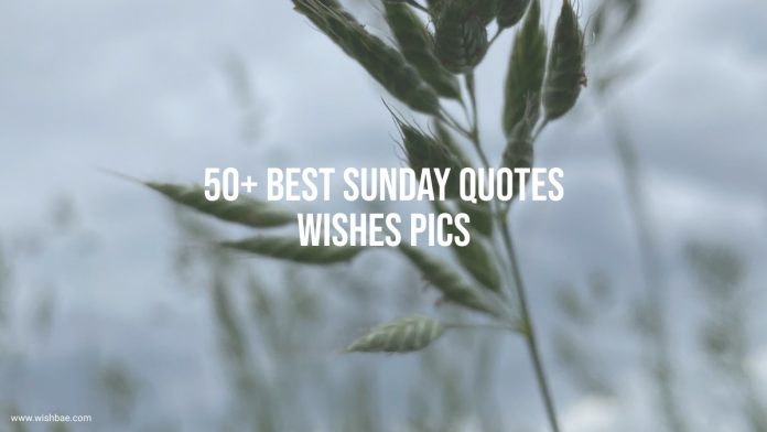 sunday quotes