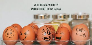 Being Crazy Quotes