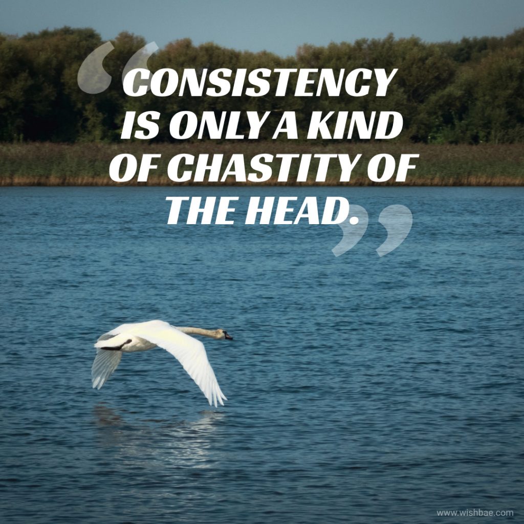 Consistency quotes in english