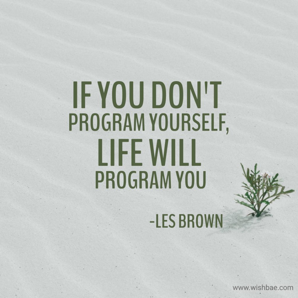 Les Brown quotes on life