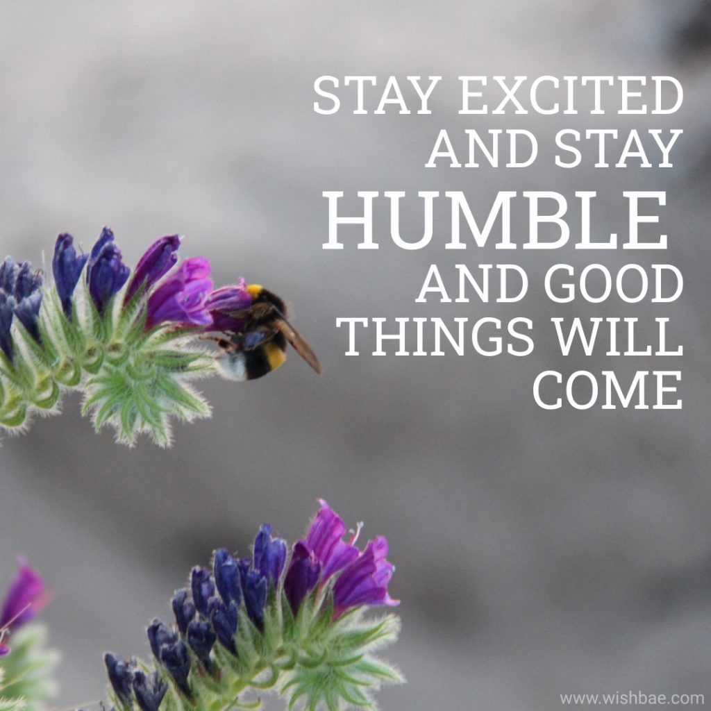 Stay humble quotes