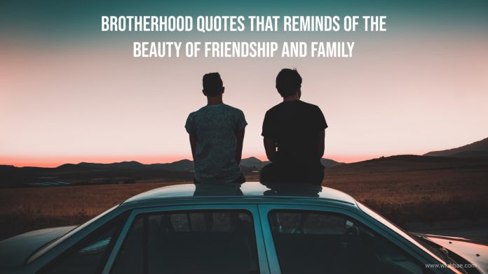 brotherhood quotes